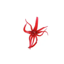 Clam Pro Tackle Maki Neki 14 Clam Pro Tackle Maki Neki -Fishing Supplies Store 110918maki neki red