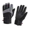 Striker Ice - Apex Gloves - Black / Gray