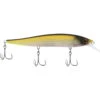 Berkley Stunna MF Tennessee Shad 112M 1/2oz Jerk Bait 1 Berkley Stunna MF Tennessee Shad 112M 1/2oz Jerk Bait -Fishing Supplies Store CW89684 39992.1672152496