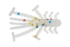 Eurotackle Micro Finesse Crazy Critter -Fishing Supplies Store Crazy Critter Wonder Bread 1 1024x1024 8635d8a4 e82a 42ec 8d3d ff60d1c9b47e