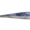 Berkley Gulp Ice - 1 Inch Minnow - GHIMI1-FTHD 2 Berkley Gulp Ice - 1 Inch Minnow - GHIMI1-FTHD -Fishing Supplies Store GHIMI1 FTHD 79297.1595434013