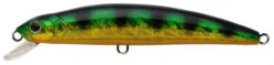 Challenger Magnum Minnow 6 1/2in, 5 Colors -Fishing Supplies Store MG004 017 7666202 17380.1553277870