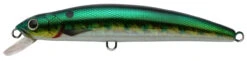 Challenger Magnum Minnow 6 1/2in, 5 Colors -Fishing Supplies Store MG004 DCNB 7666251 19038.1553277881