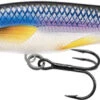 Live Target Rainbow Smelt Jerkbait 2 3/4" Deep Dive -Fishing Supplies Store RS70D201 1000x 36899.1650902308