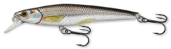 Live Target Rainbow Smelt Jerkbait 4 1/2" Shallow Dive -Fishing Supplies Store RS 91S 202 1000x 49023.1556046125