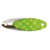 Acme Tackle Kastmaster Spoons - 1/4OZ - Chart Silver Foil -Fishing Supplies Store SW10 CFS 2000x 21833.1672081170